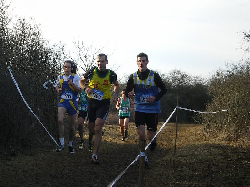 IMGP0992.jpg