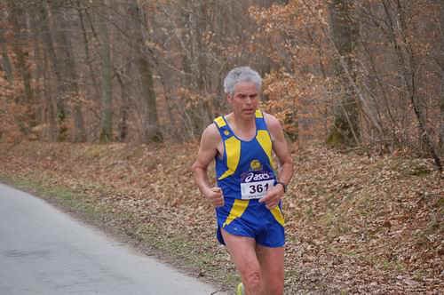 Montargis2009_0310.jpg