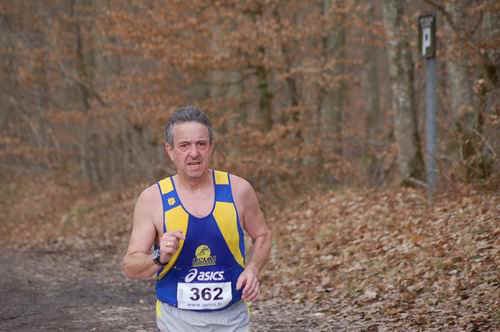 Montargis2009_0314.jpg