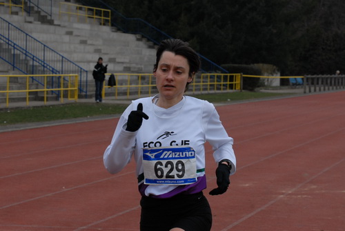 Montargis2010_0456.jpg